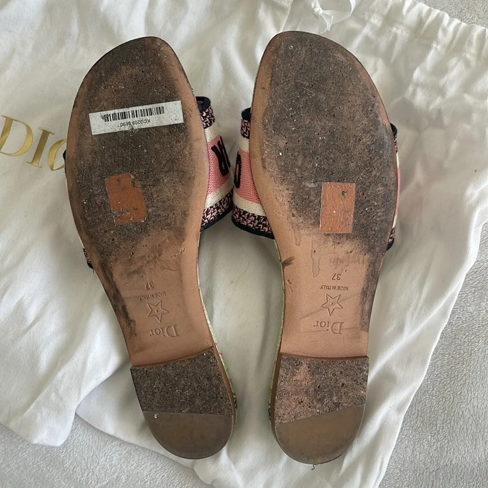 Dior designer slide